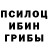 Галлюциногенные грибы Psilocybine cubensis Steg,K>P